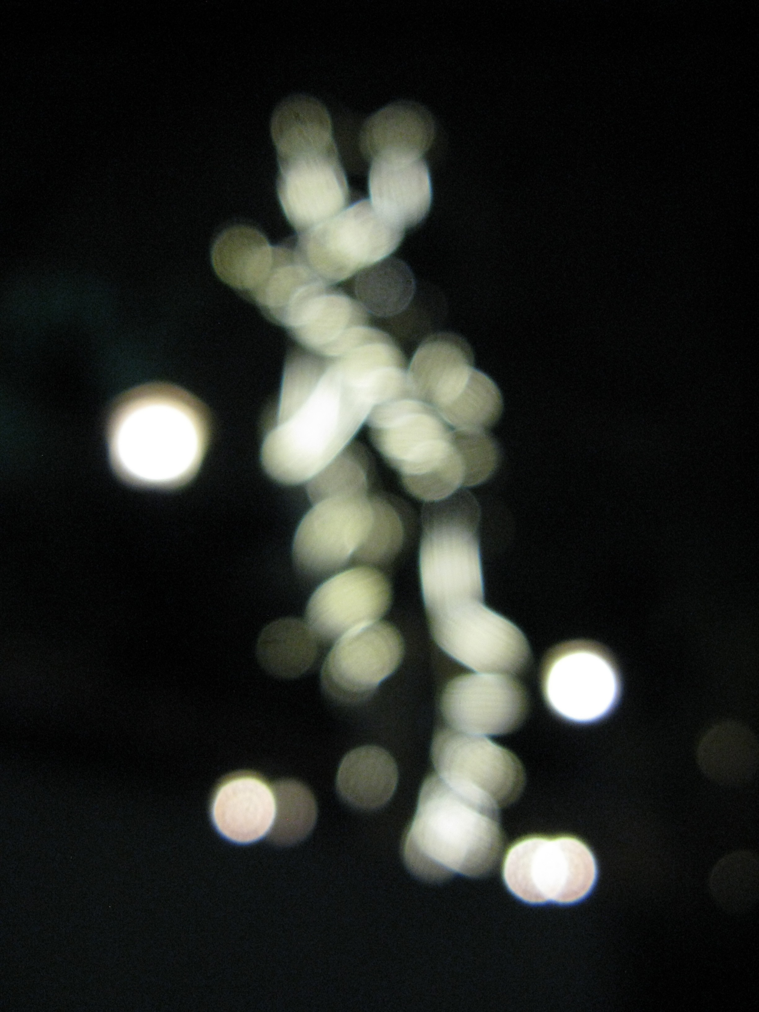 Ornamental_Lights_--_Luder_Artinian Ornamental_Lights_--_Luder_Artinian