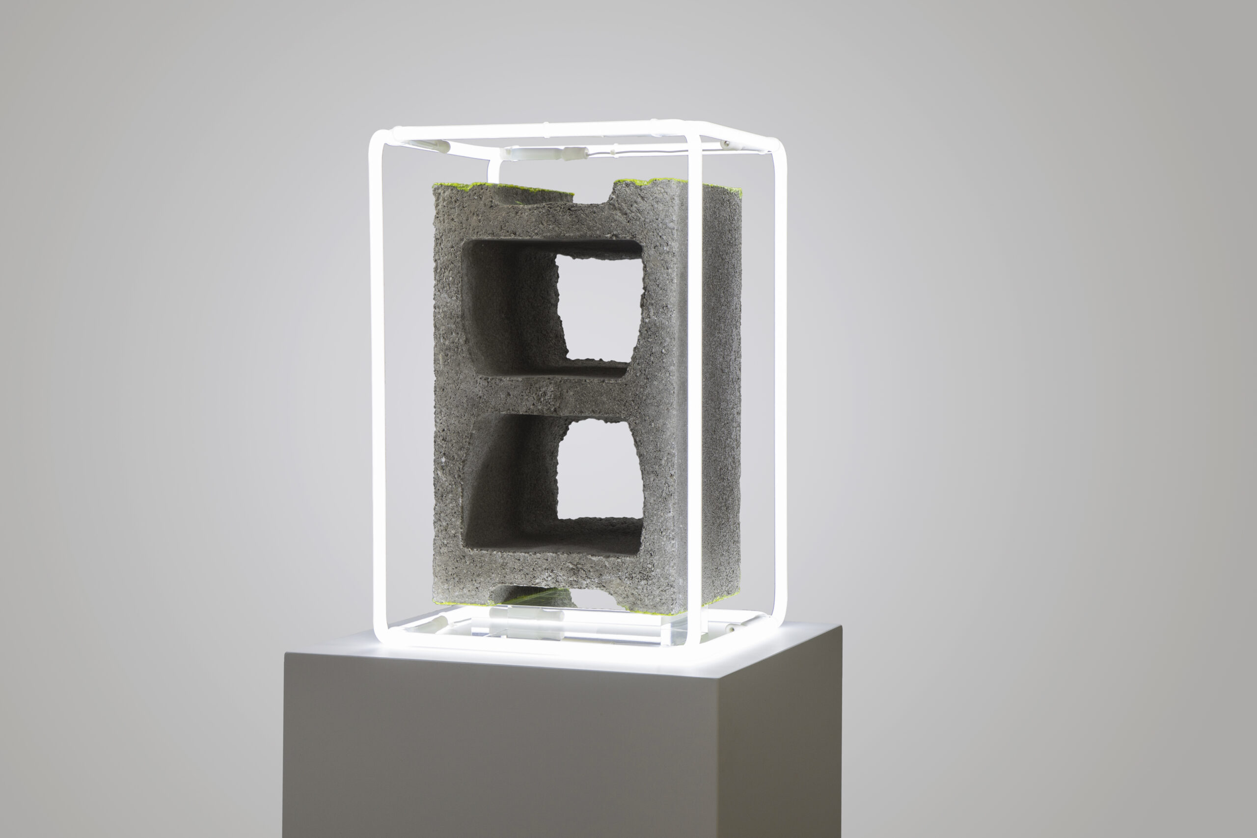 Beirut Block 5 (Courtesy of Letitia Gallery)