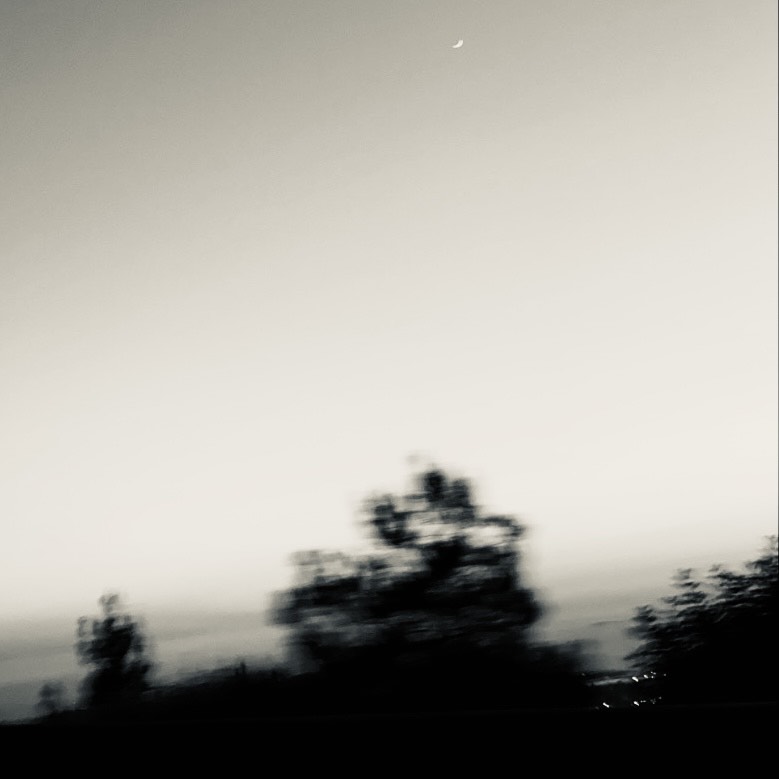 69D82F82-433D-4651-989E-8C7183E67458