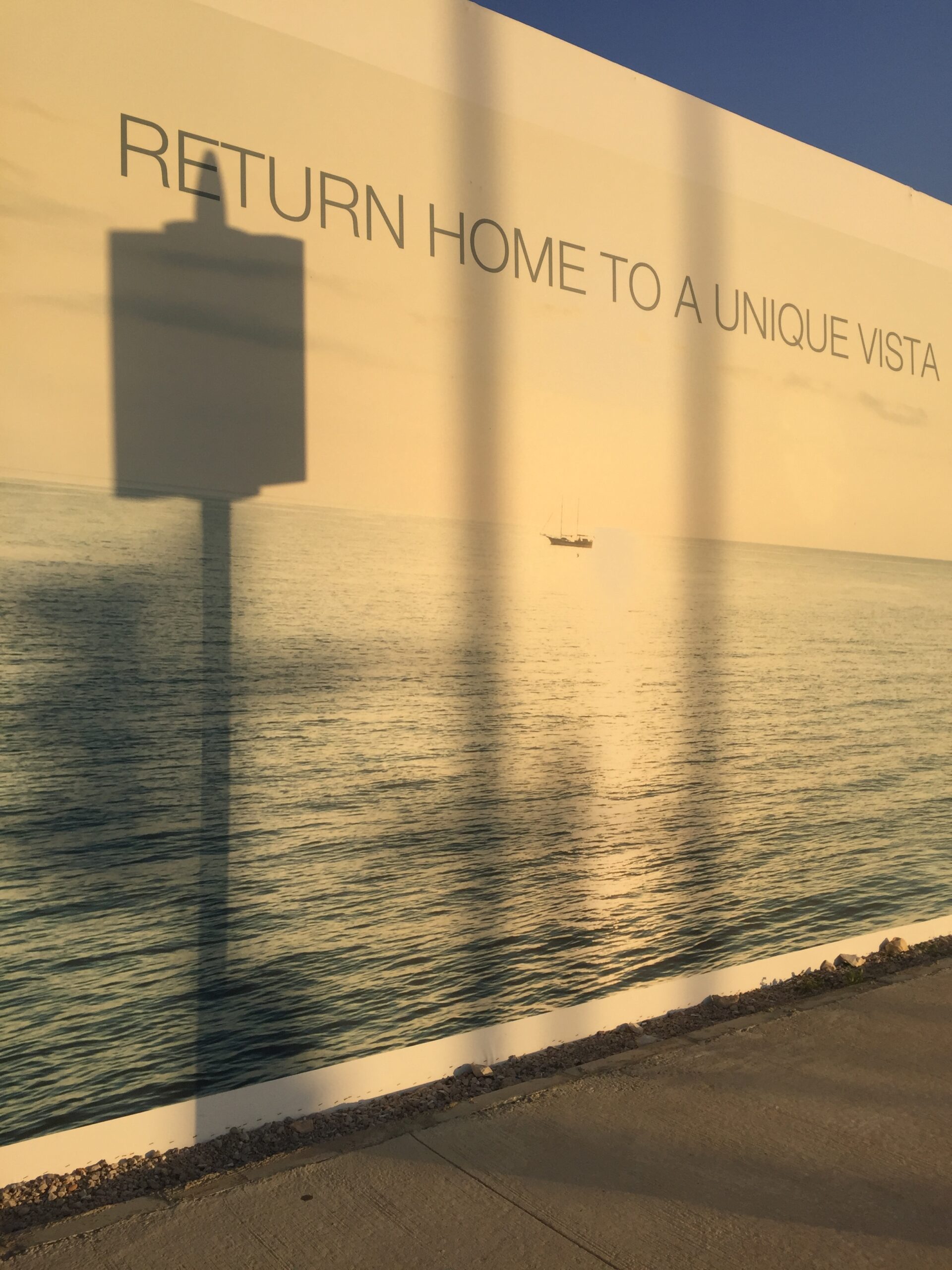 "Return Home to a Unique Vista" by Randa Mirza